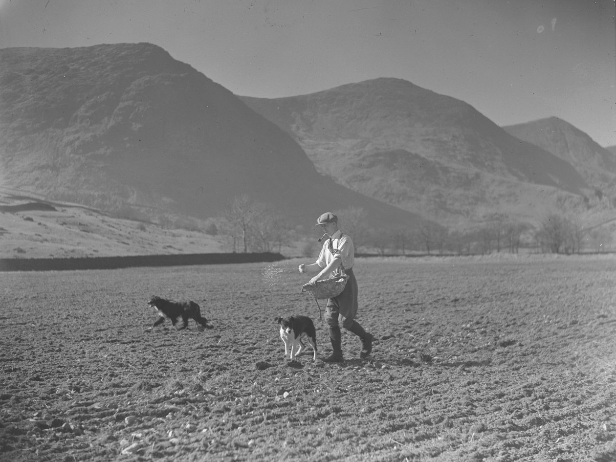 Mann mit Korb und zwei Hunden sät Samen von Joseph Hardman