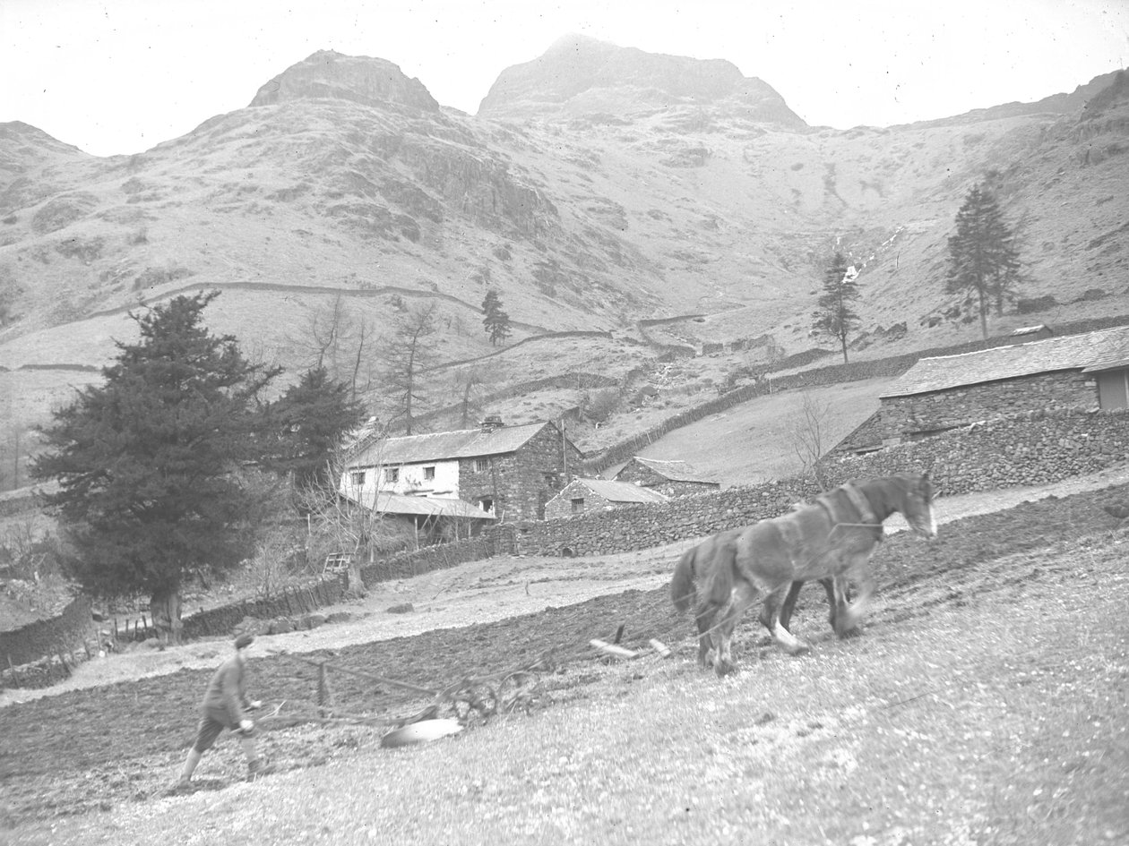 Zwei Pferde pflügen mit einem Landarbeiter von Joseph Hardman