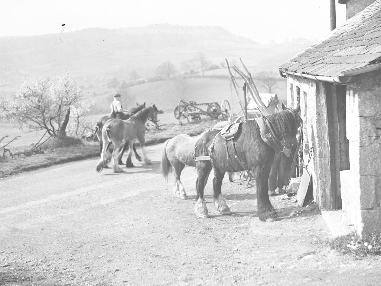 Arbeitspferde vor Crostwaite Schmiede von Joseph Hardman