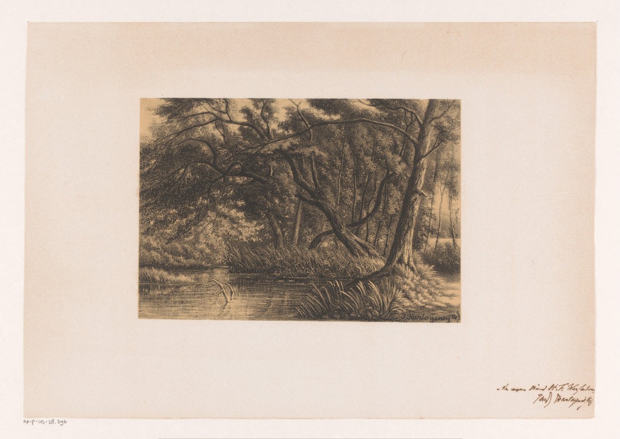 Waldlandschaft mit Teich von Joseph Hartogensis