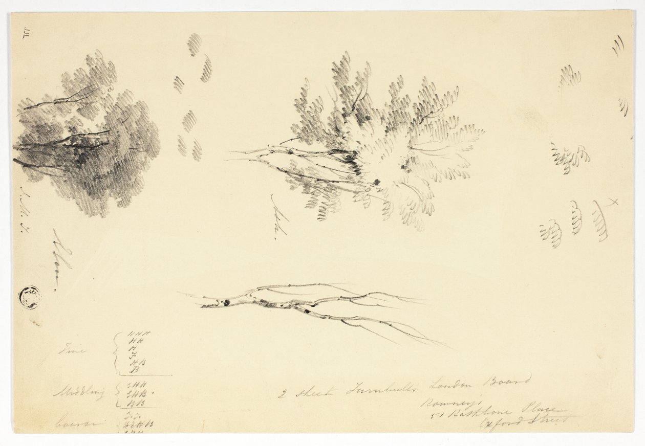 Skizzen von Ulmen und Eschen von Joseph Mallord William Turner