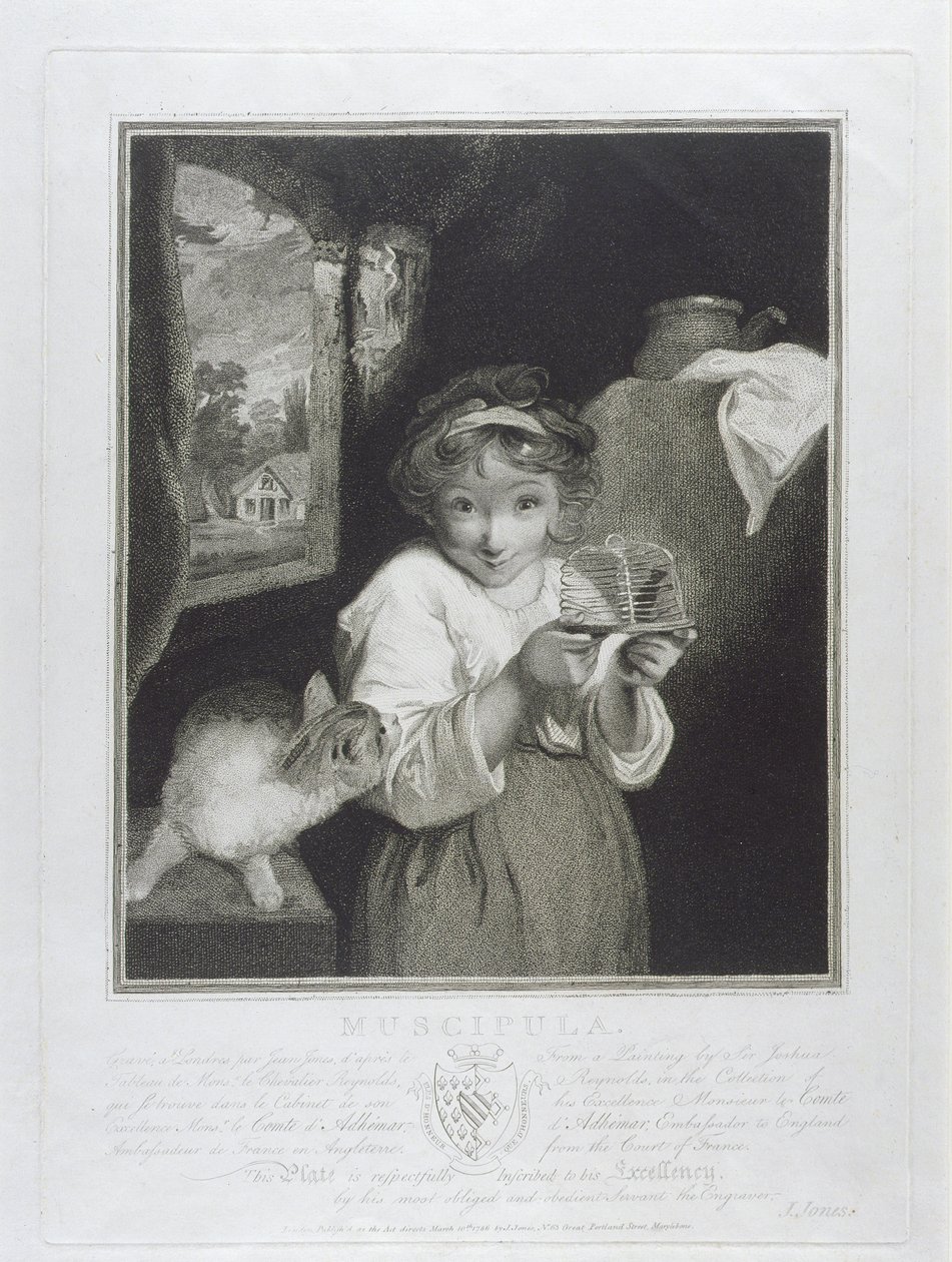 Muscipula, graviert von John Jones (c.1745-97) 1786 von Joshua Reynolds