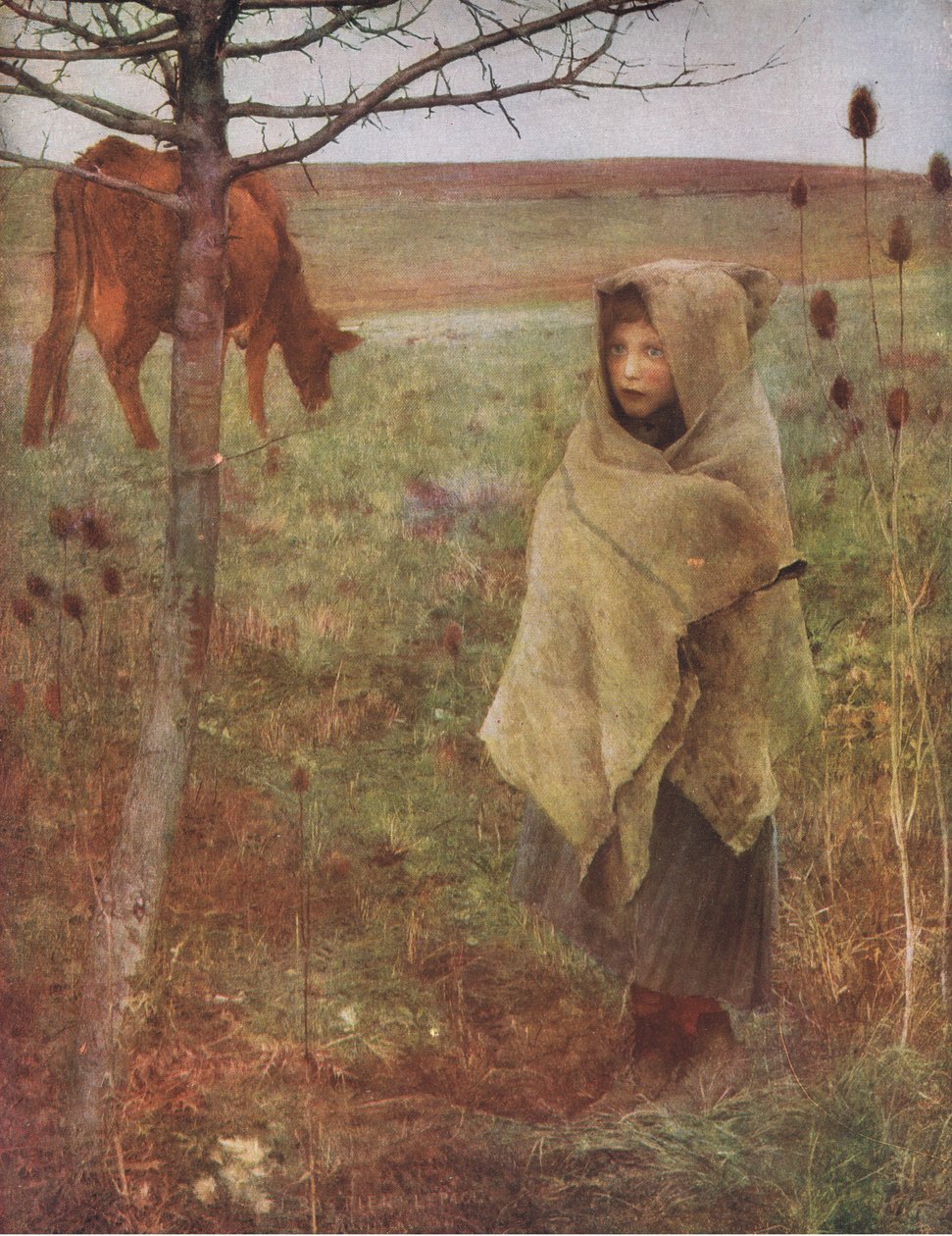Pauvre Fauvette, Bibbys Annual, 1916-1917 von Jules after Bastien Lepage