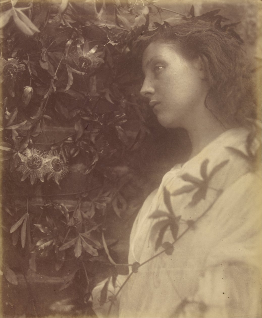 Maud "Es ist eine prächtige Träne vom Passionsblume am Tor gefallen" von Julia Margaret Cameron