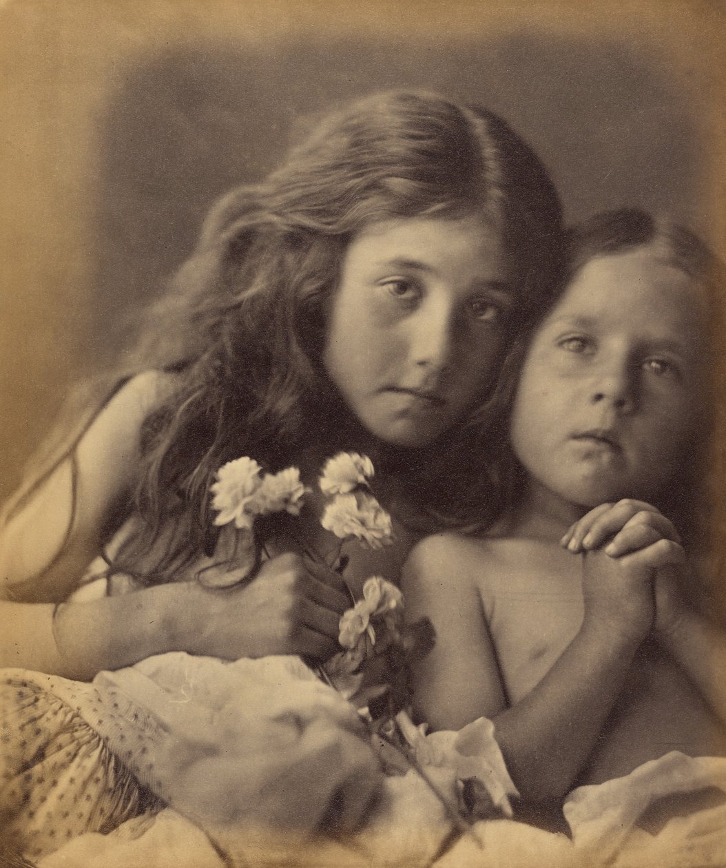 Die roten und weißen Rosen von Julia Margaret Cameron
