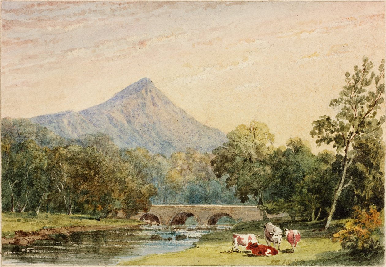 Sugarloaf Hill von Tynnahinch von Julia Swinburne