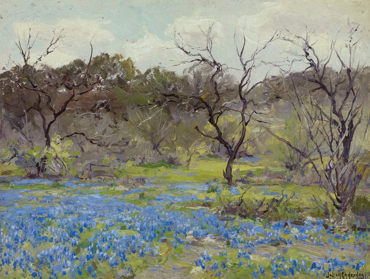 Früher Frühling—Blauhauben und Mesquite von Julian Onderdonk