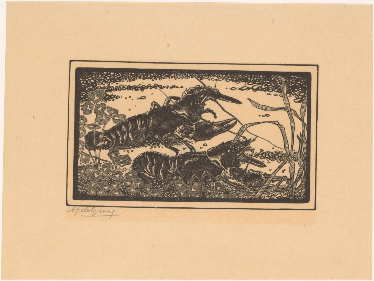 Zwei Flusskrebse von Julie de Graag (signed by artist)