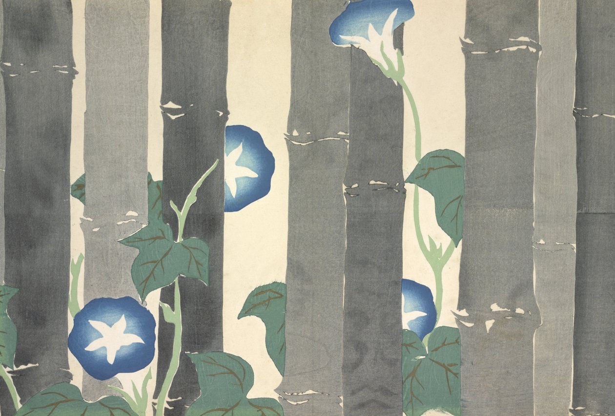 Asagao, aus Momoyo-gusa von Kamisaka Sekka