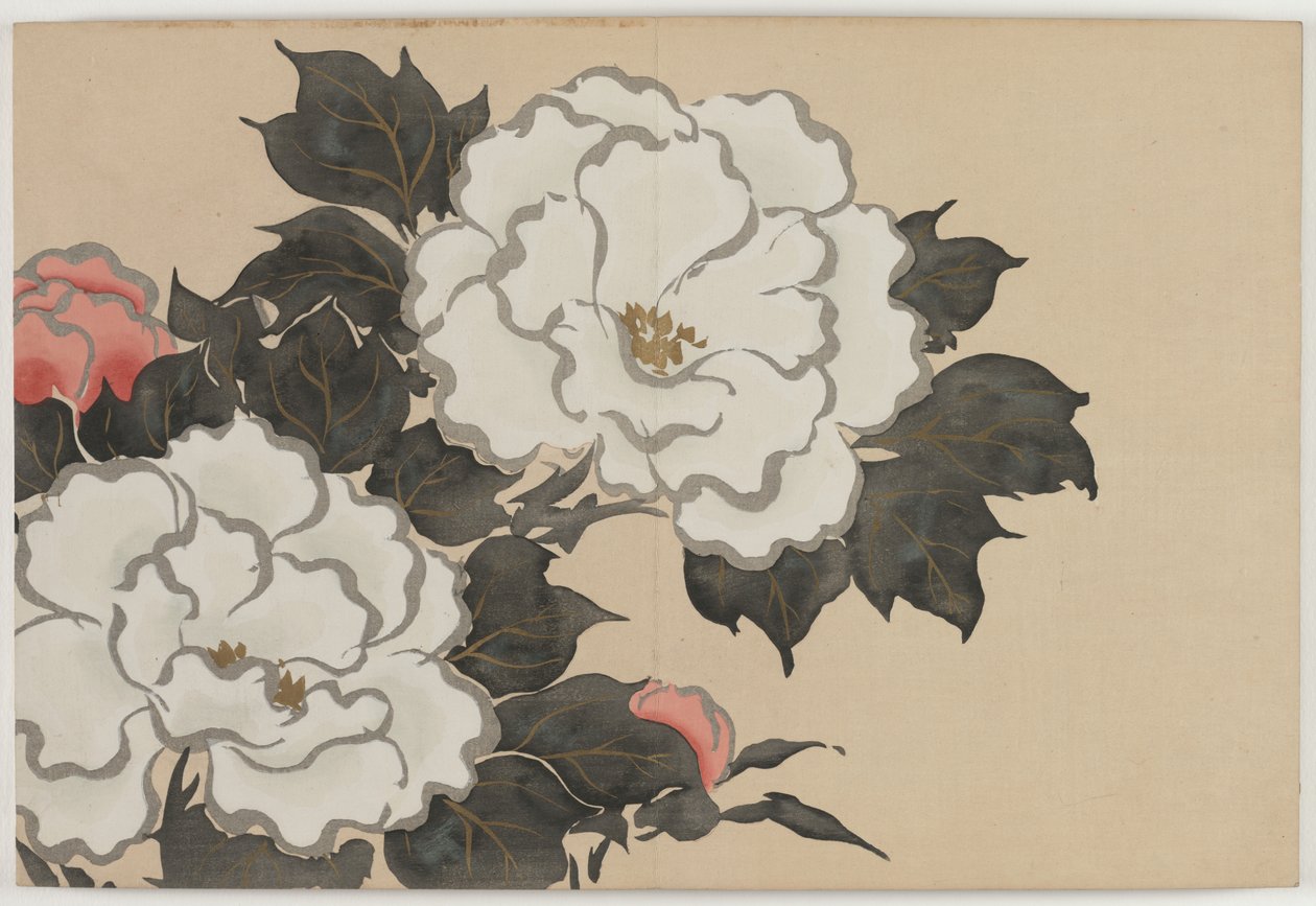 Blumen von hundert Welten (Momoyogusa): Pfingstrosen von Kamisaka Sekka