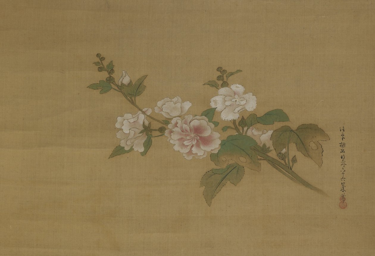 Ein Zweig blühender Hibiskus, Edo-Periode von Kano Tanyu