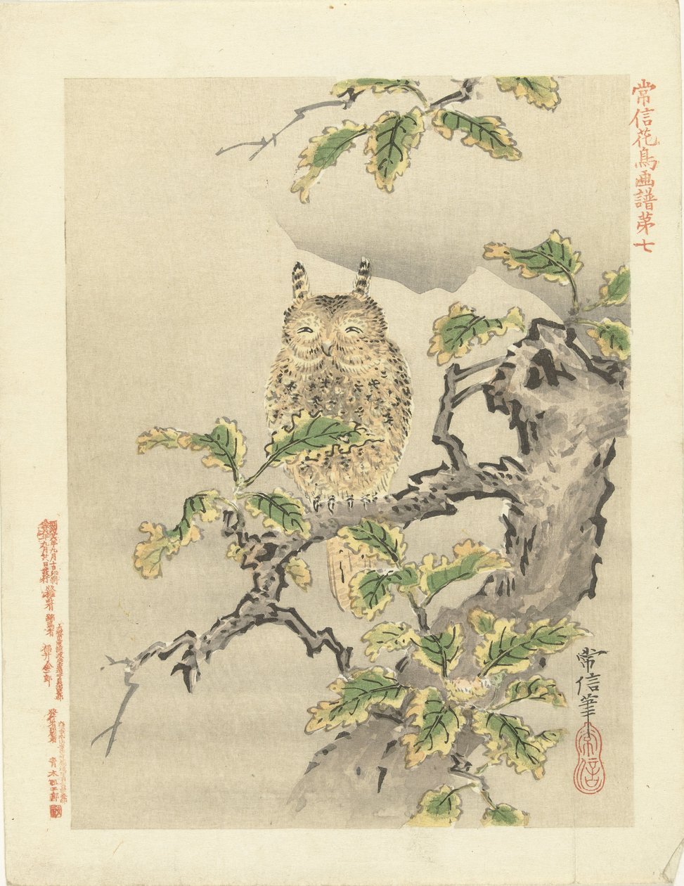 Eule auf Ast (Serientitel: Blumen- und Vogelskizzen von Kano Tsunenobu) von Kano Tsunenobu