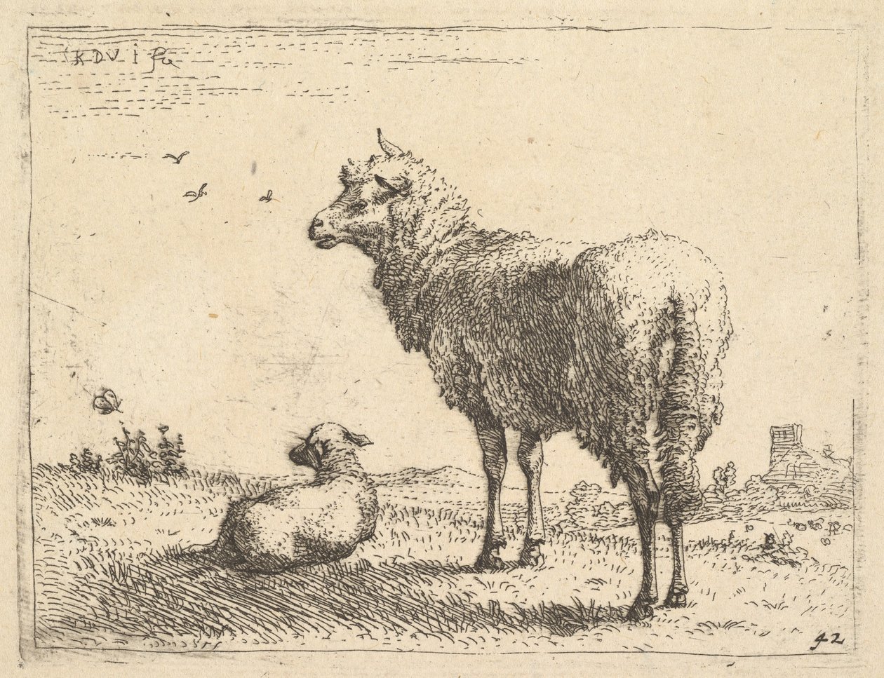 Ein ausgewachsenes Schaf in Dreiviertelansicht stehend und nach links schauend, daneben liegt ein Lamm, ca. 1655 von Karel Du Jardin