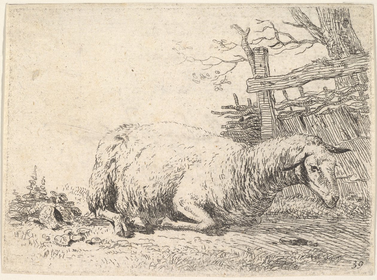 Ein Schaf liegt mit untergeschlagenen Beinen neben einem Holzzaun, ca. 1655 von Karel Du Jardin
