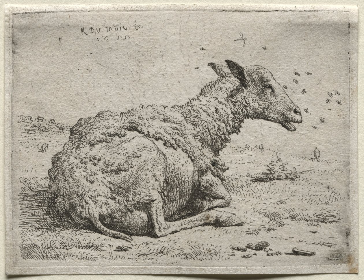 Das Schaf und die Fliegen von Karel Dujardin