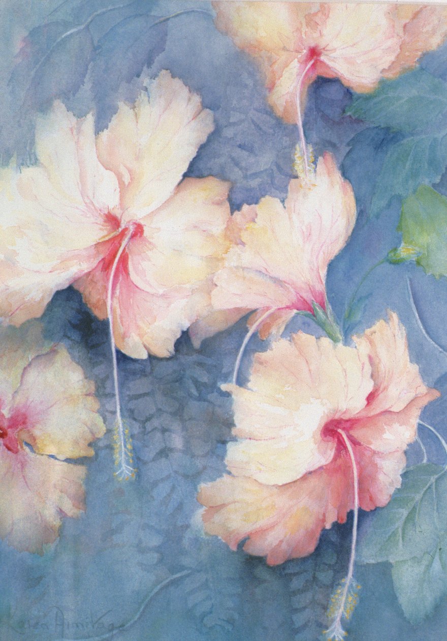 Hibiskus, apricot von Karen Armitage