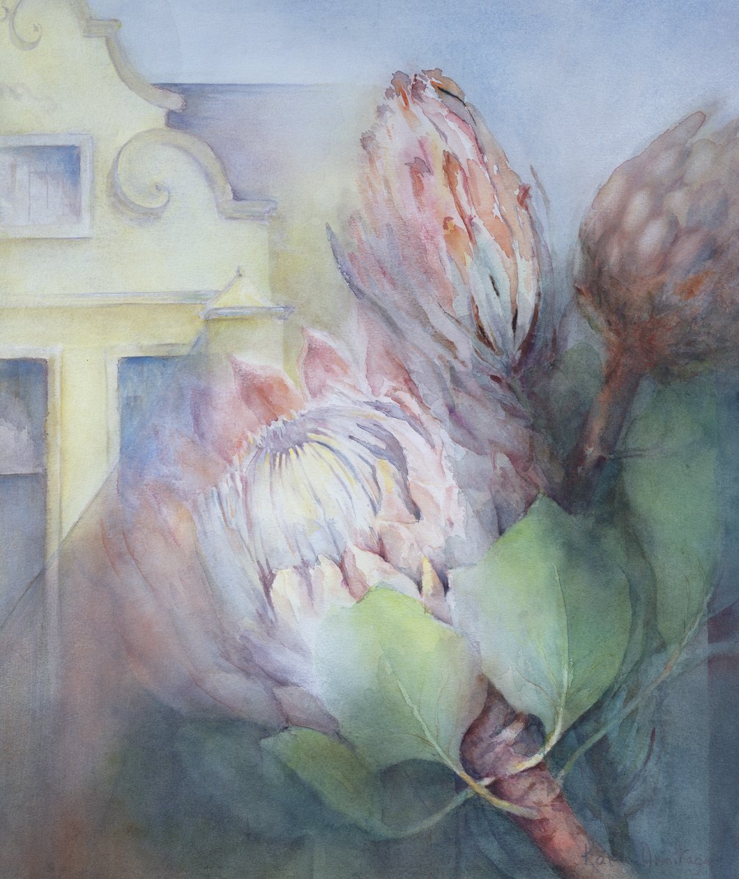 Protea in Stellenbosch, 1992 von Karen Armitage