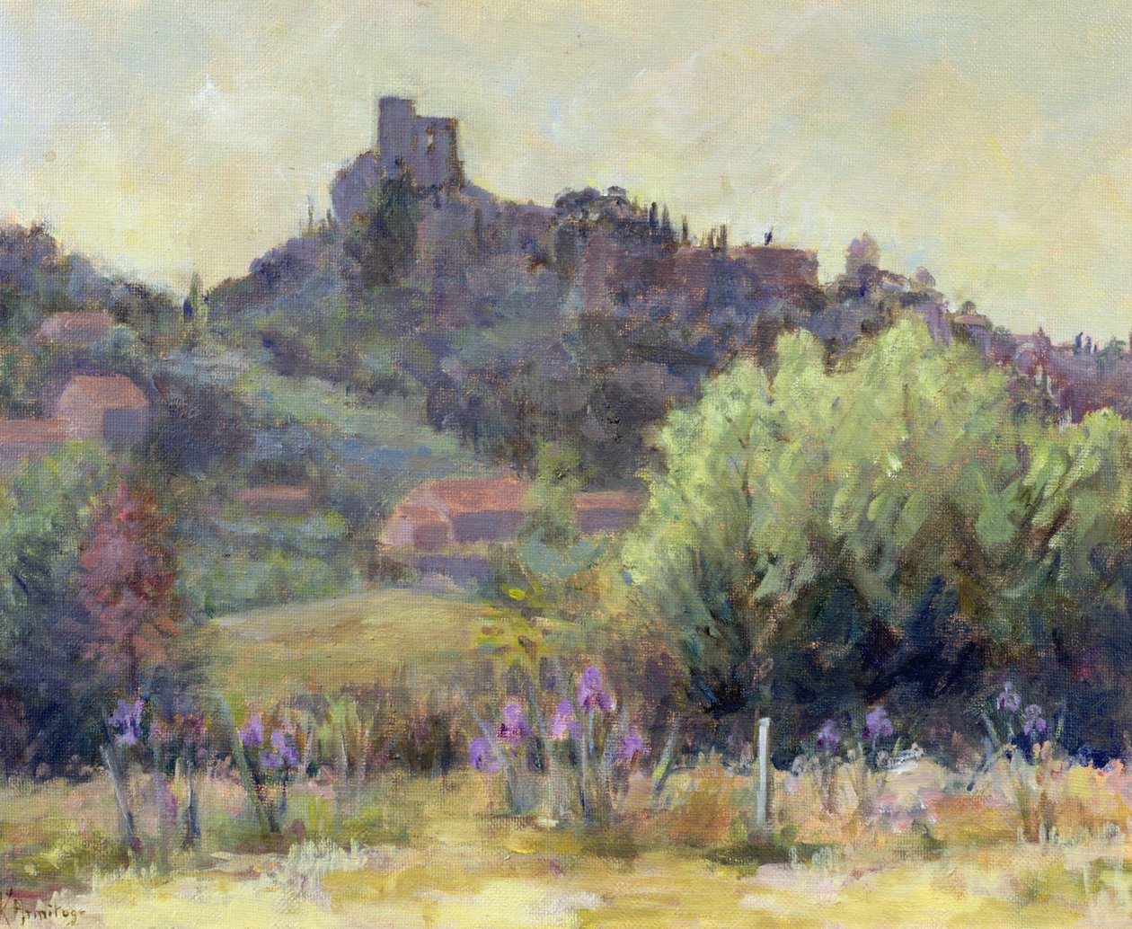 Vaison La Romaine, Vaucluse von Karen Armitage