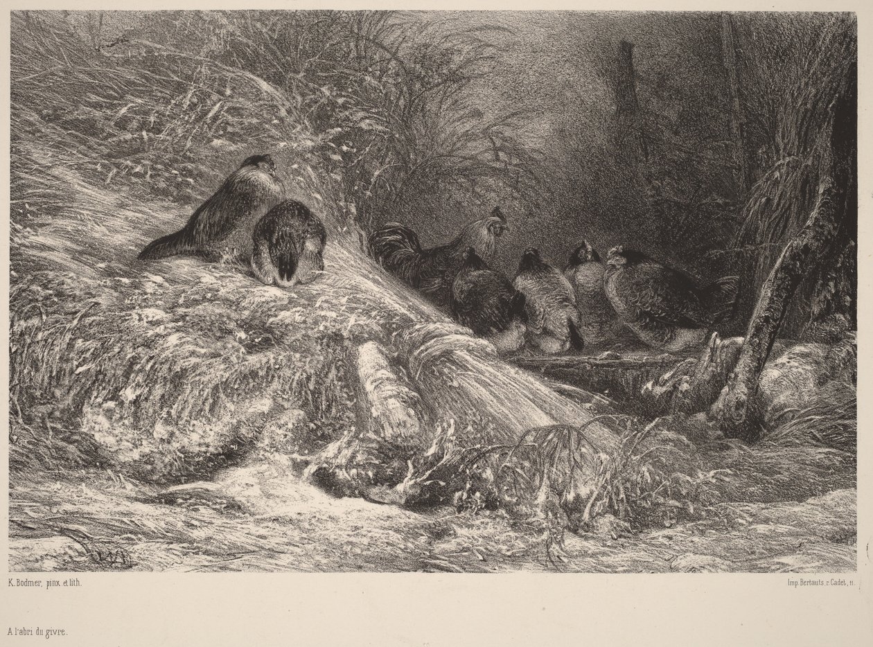 Im Schutz vor dem Frost von Karl Bodmer