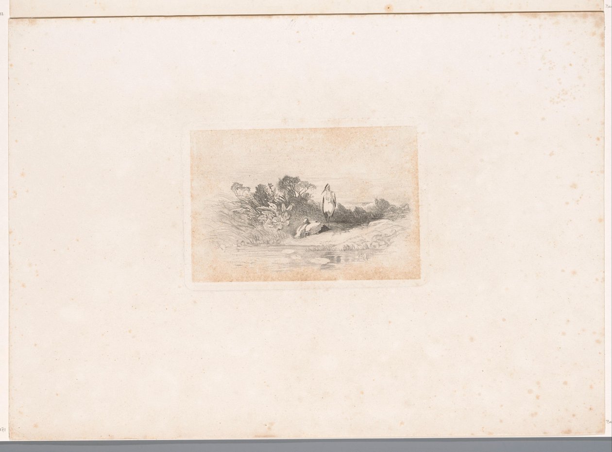 Zwei Reiher am Wasser von Karl Bodmer