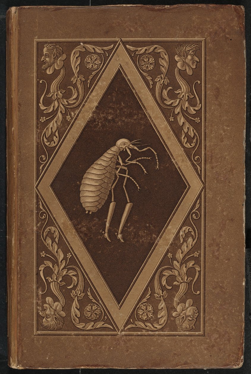 Meister Floh. Ein Märchen in sieben Abenteuern zweier Freunde von Karl Friedrich Thiele, Ernst Theodor Amadeus Hoffmann