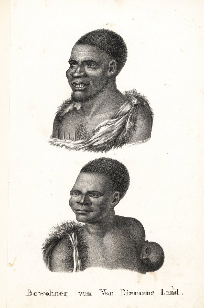 Eingeborene von Tasmanien, Van Diemen
