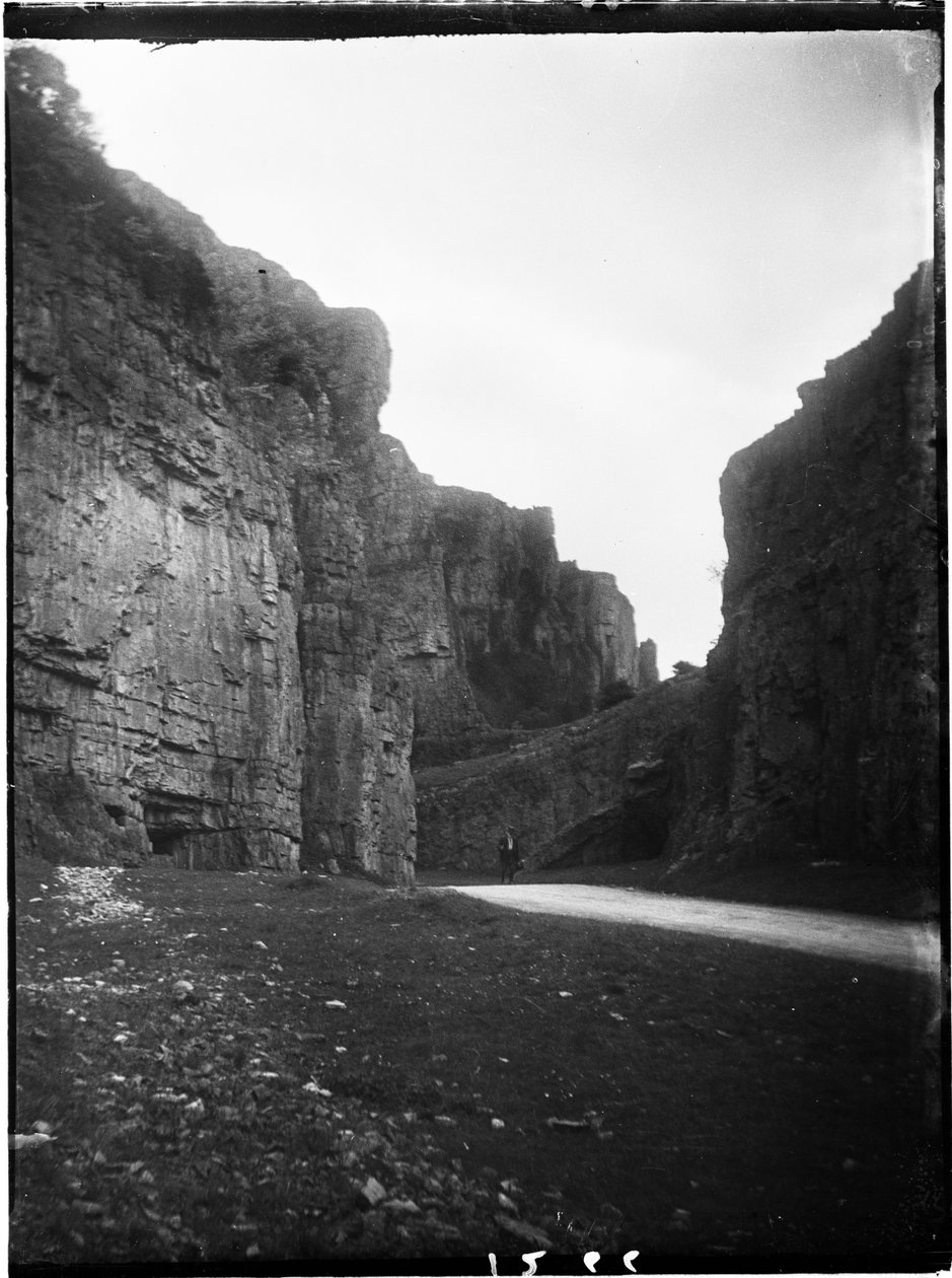 Cheddar Gorge, Cliff Road, Cheddar, Sedgemoor, Somerset von Katherine Jean Macfee