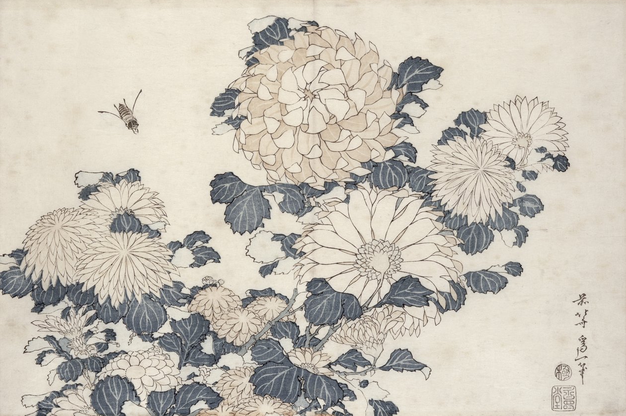 Biene und Chrysanthemen, aus der Serie 