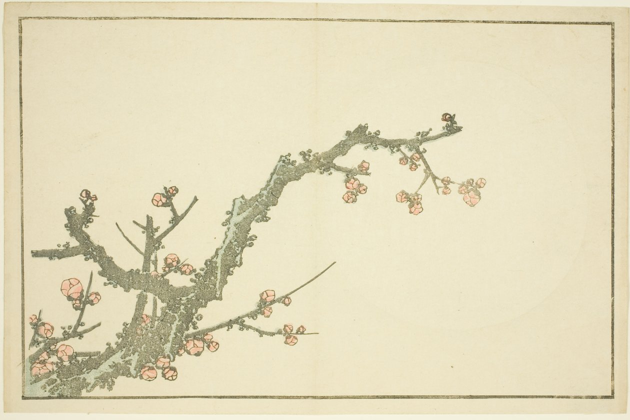 Blühender Pflaumenbaum, aus Das Bilderbuch der realistischen Gemälde von Hokusai (Hokusai shashin gafu) von Katsushika Hokusai