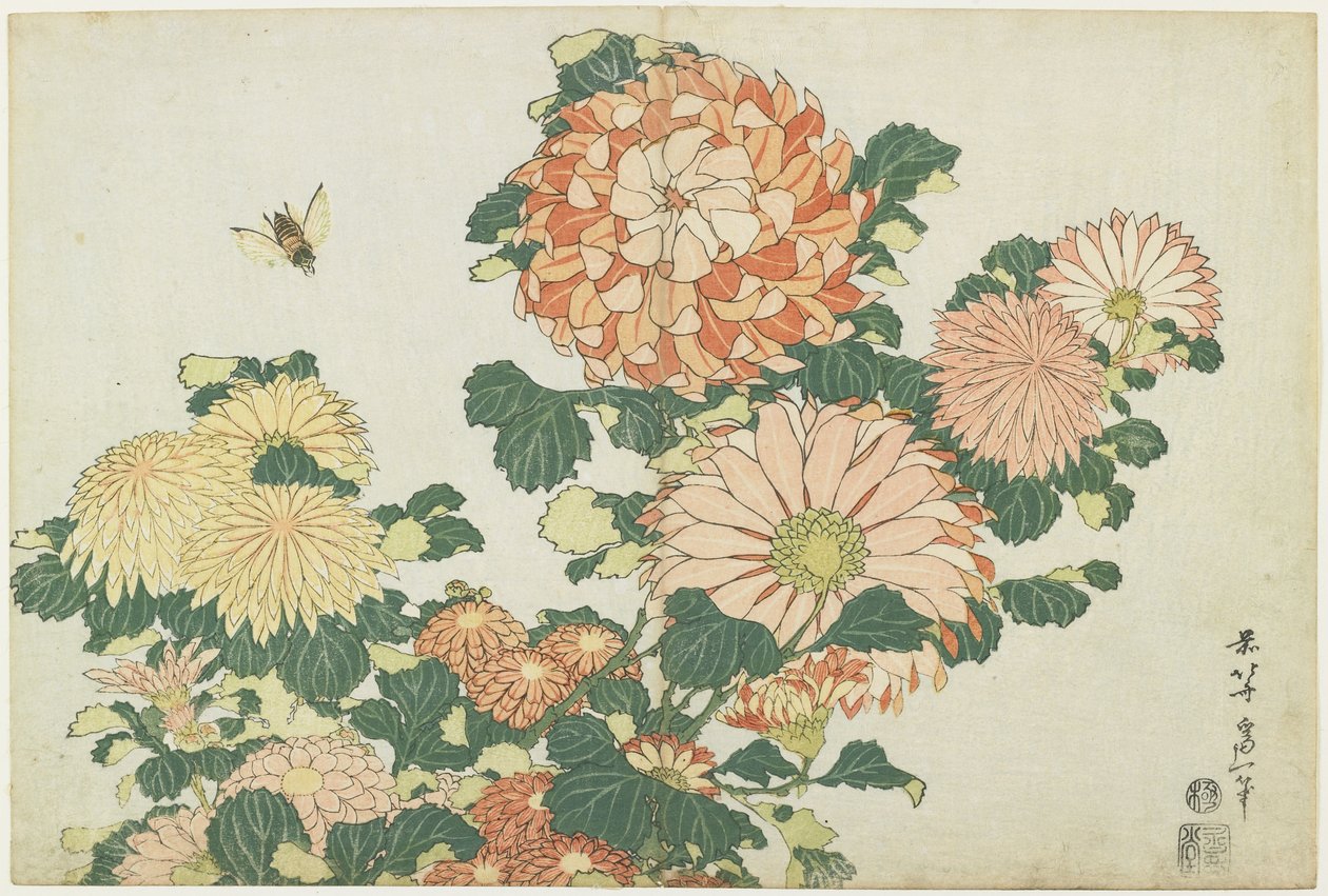 Chrysanthemen und Pferdefliege, um 1832 von Katsushika Hokusai