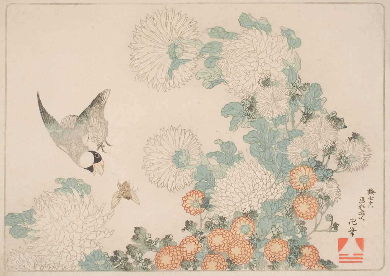 Kiku Ni Buncho Ni Kumabachi von Katsushika Hokusai