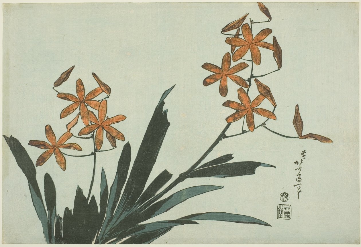 Orange Orchideen, aus einer unbetitelten Serie von Blumen von Katsushika Hokusai