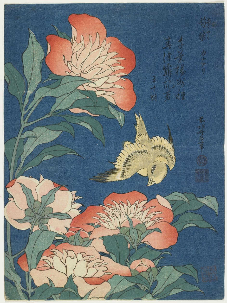 Pfingstrosen und Kanarienvogel, ca. 1833 von Katsushika Hokusai