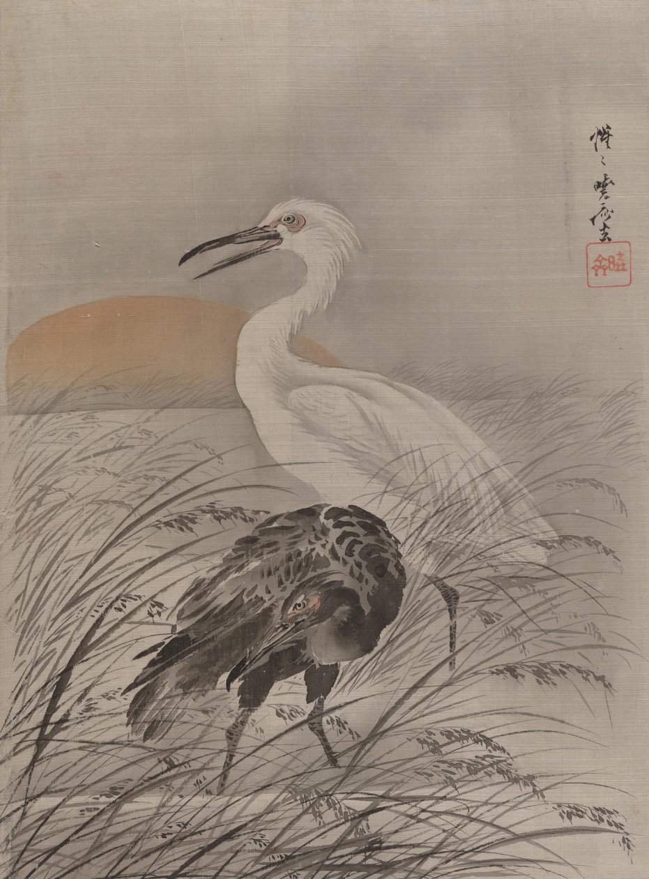 Kraniche im Sumpf, ca. 1887 von Kawanabe Kyosai