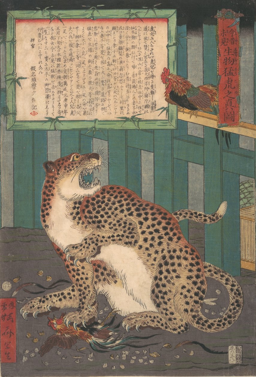 Nie zuvor gesehen: Wahres Bild eines lebenden wilden Tigers..., sechster Monat 1860 von Kawanabe Kyosai