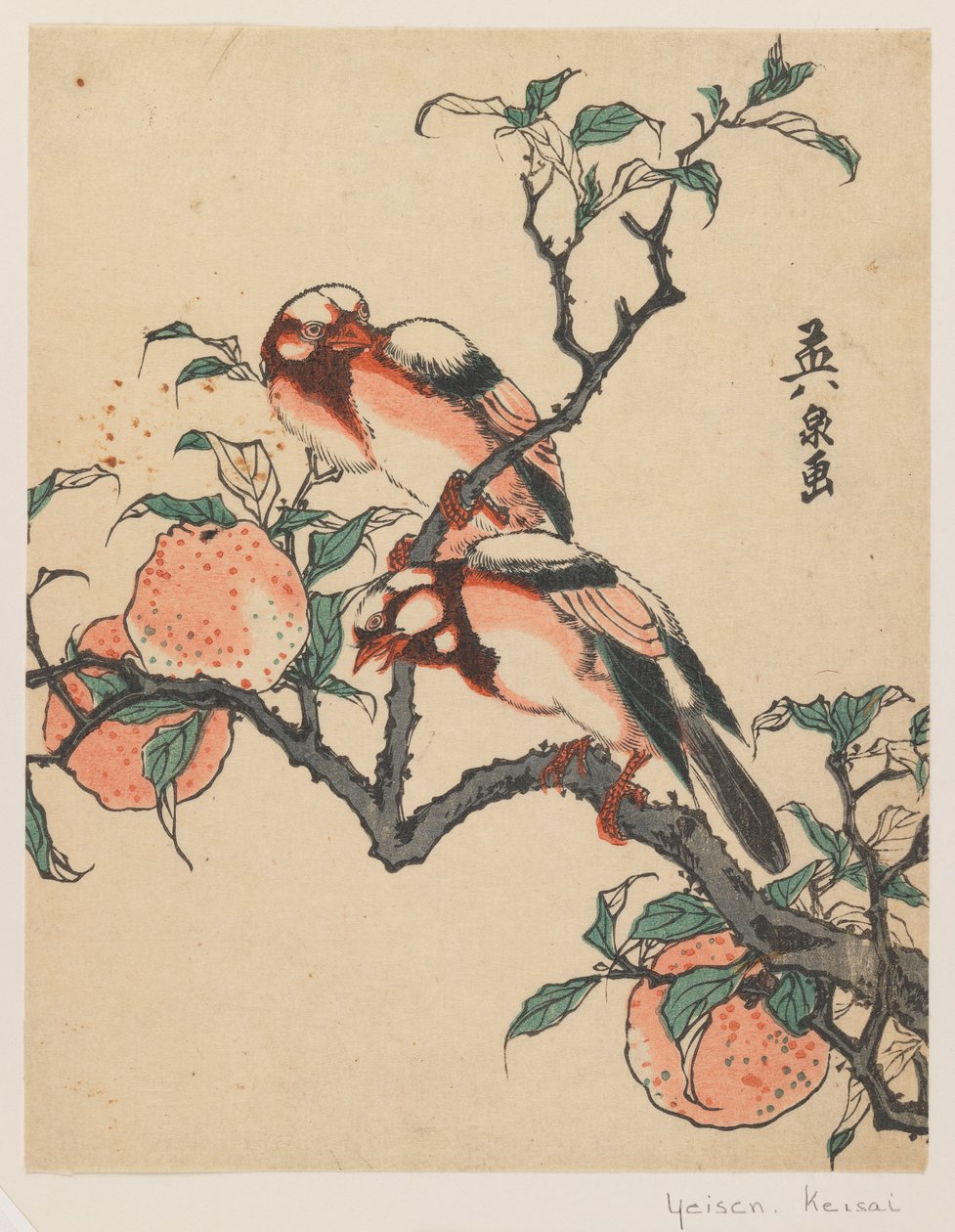 Granatäpfel und Vögel, ca. 1840 von Keisai Eisen