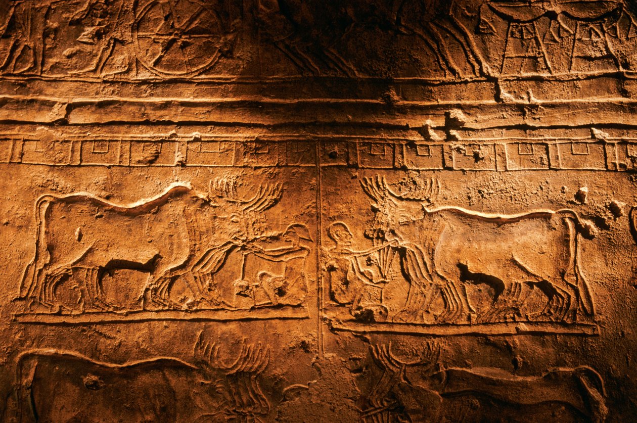 Relief aus dem Grab von Meryre (Merera), Hohepriester des Aten in Akhetaten, 2001 (Foto) von Kenneth Garrett