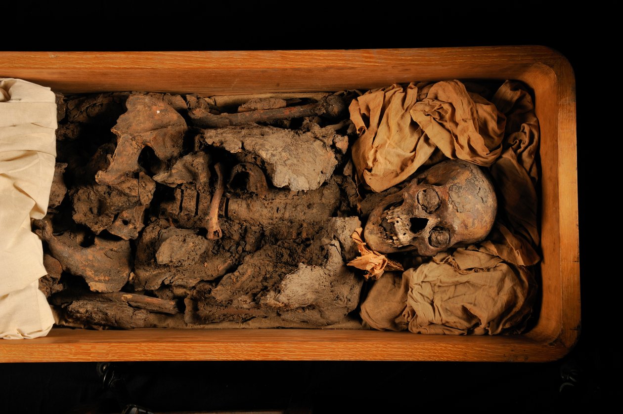 Tutanchamun; 18. Dynastie; Neues Reich; das Ägyptische Museum; Kairo; DNA; Probe, 2005 (Foto) von Kenneth Garrett