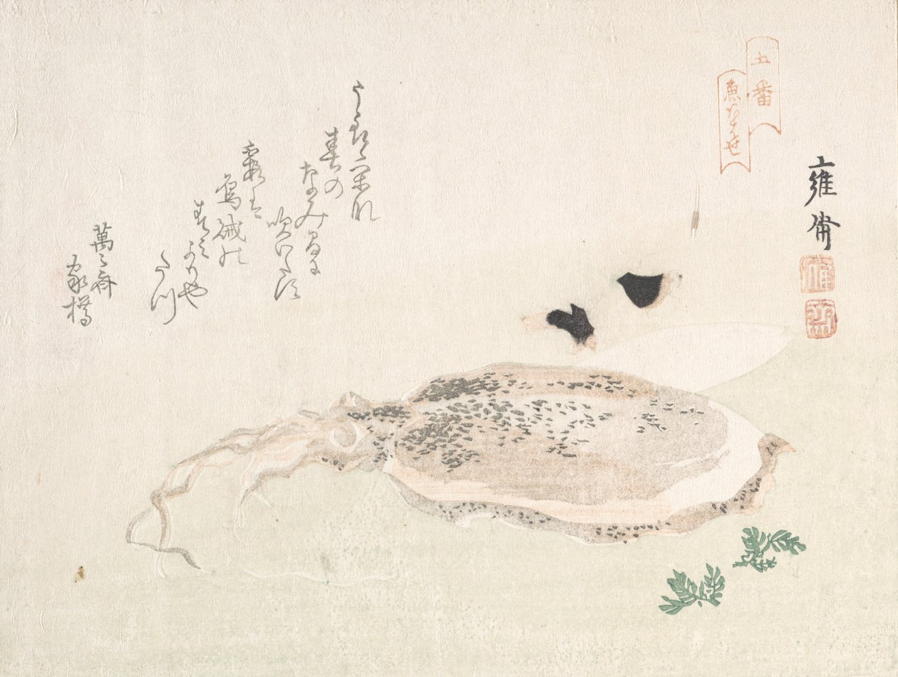 Tintenfisch, frühes 19. Jahrhundert von Kikuchi Yosai