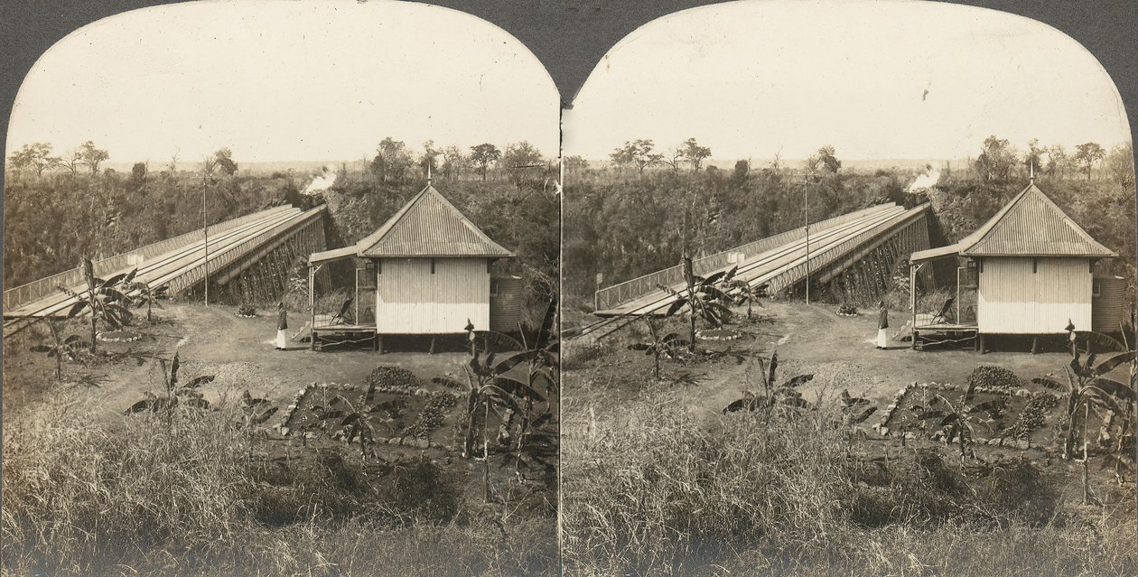 Gruppe von 14 Stereographien von Afrika und Schauspielern von Kilburn Brothers