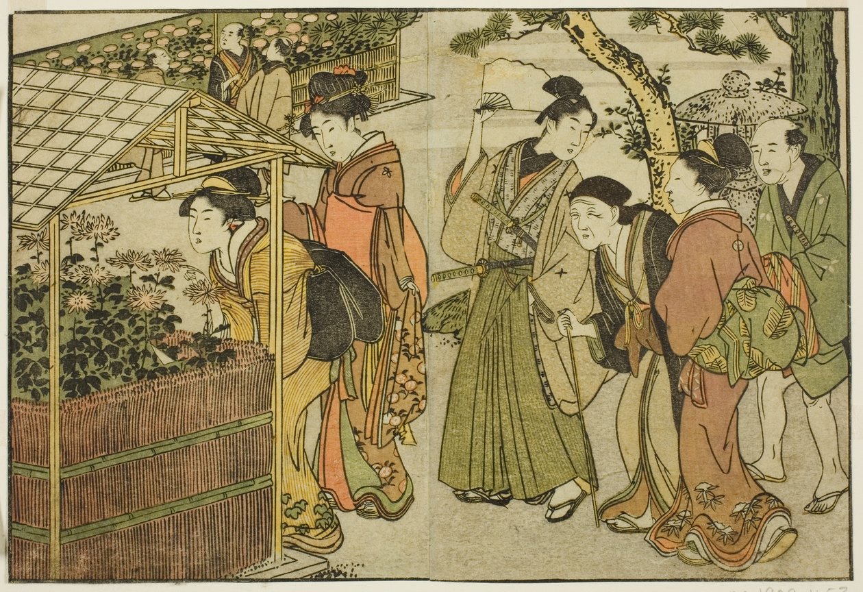 Ausstellung von Chrysanthemen, aus dem illustrierten Buch "Bilderbuch: Blumen der vier Jahreszeiten (Ehon shiki no hana)," Bd. 2 von Kitagawa Utamaro