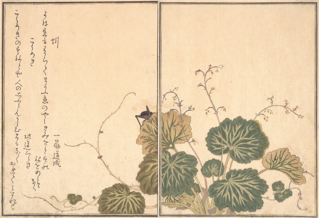 Regenwurm Mimizu, Grille Korogi..., 1788 von Kitagawa Utamaro