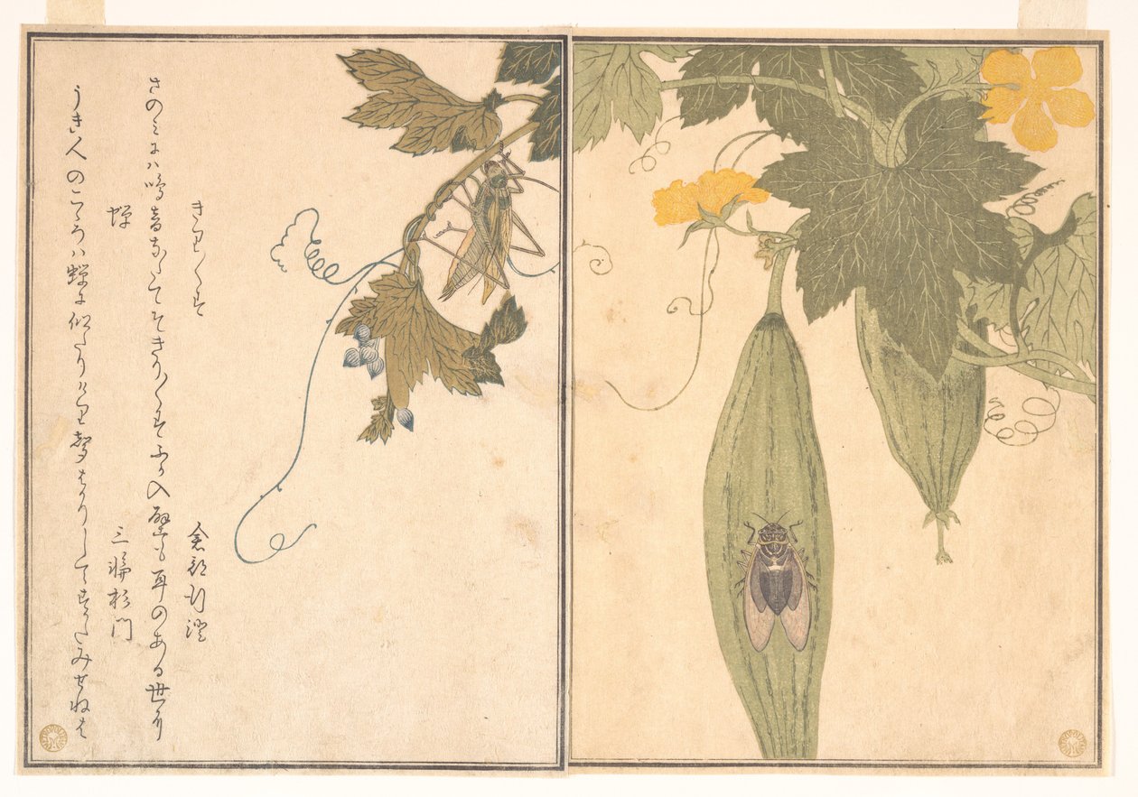 Heuschrecke (Kirigirisu); Zikade (Semi), aus dem Bilderbuch der kriechenden Kreaturen (Ehon mushi erami) von Kitagawa Utamaro