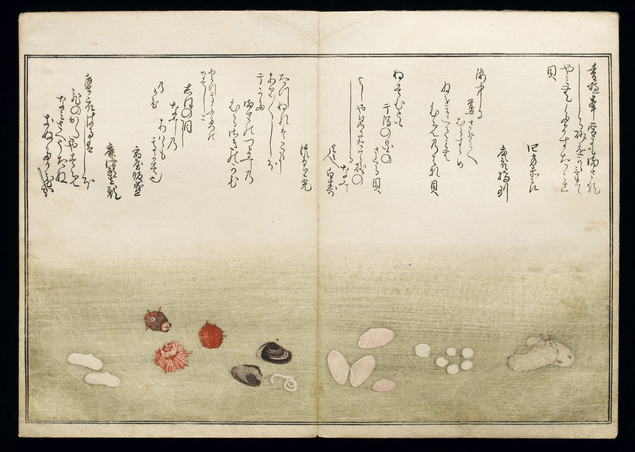 Shiohi no tsuto (Geschenke von der Ebbe), bekannt als das Muschelbuch, 1789 von Kitagawa Utamaro