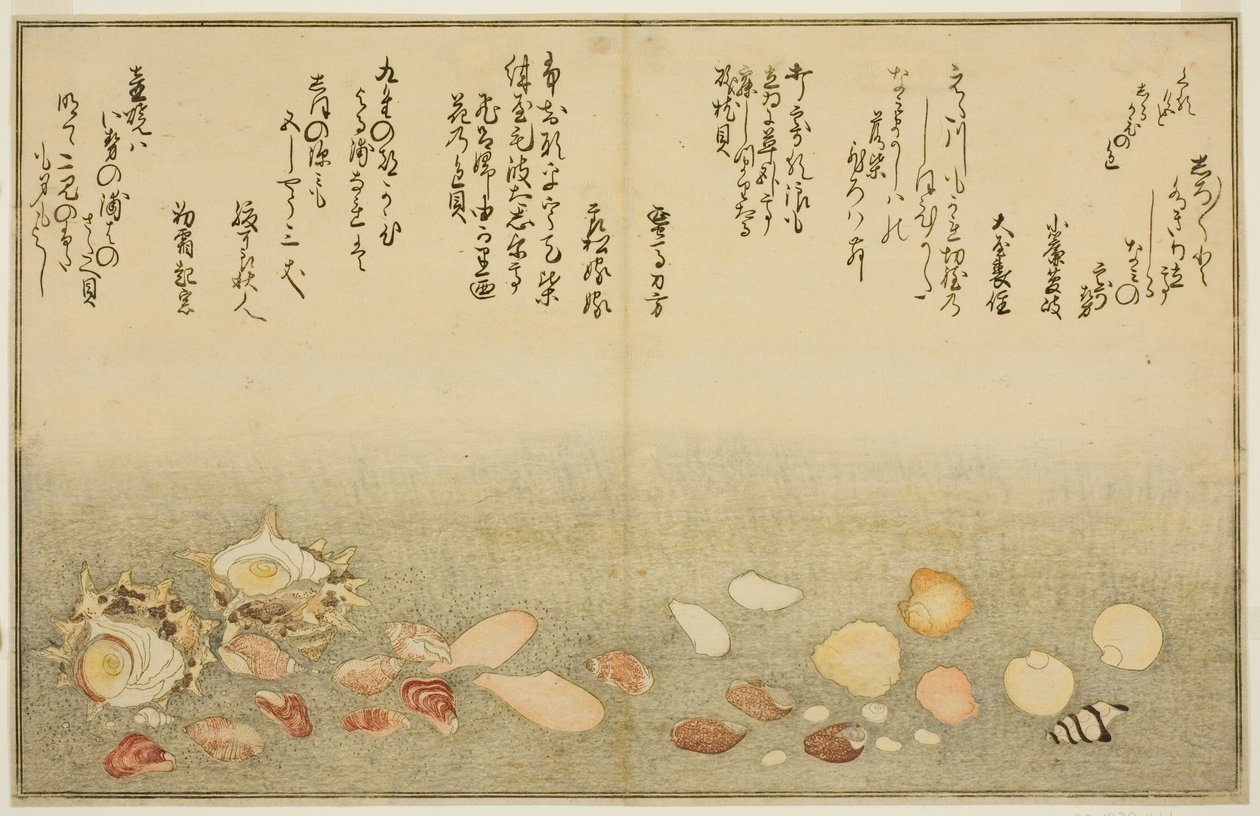 Shiro-gai, namima-gashiwa, makura-gai, iro-gai, aza-gai, sadae-gai, aus dem illustrierten Buch "Geschenke von der Ebbe (Shiohi no tsuto)" von Kitagawa Utamaro