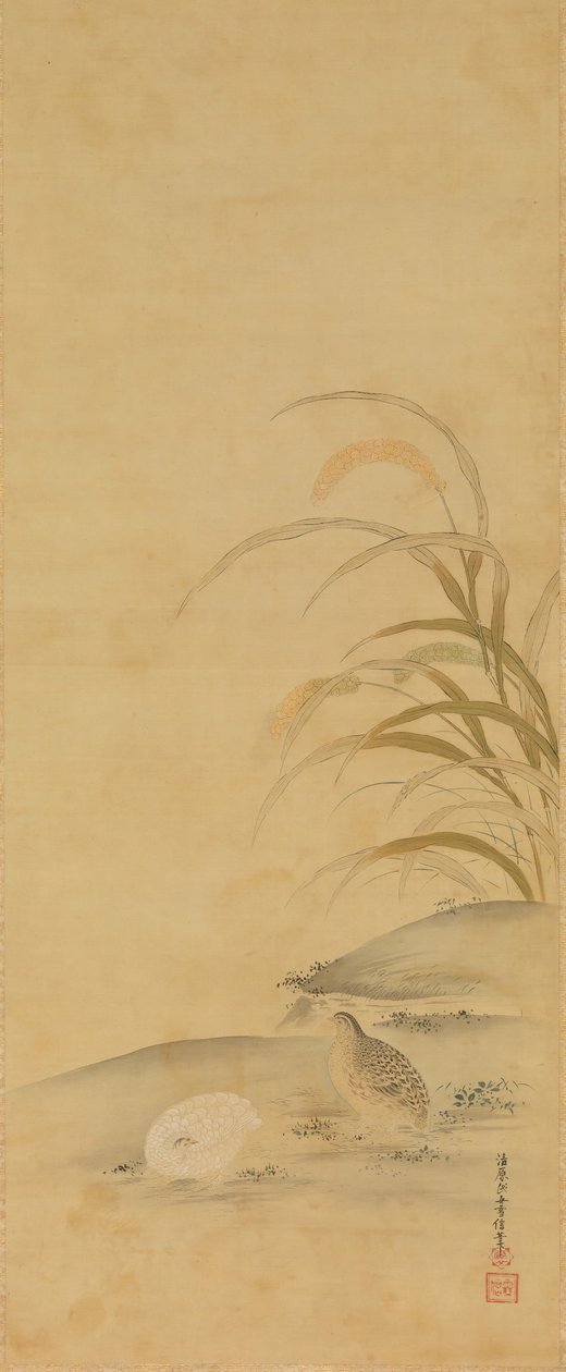 Wachtel und Hirse, spätes 17. Jahrhundert von Kiyohara Yukinobu