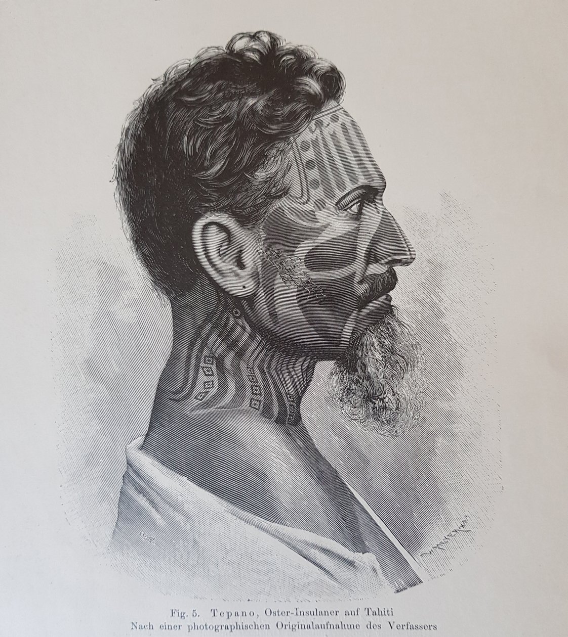 Juan Tepano, Illustration aus 