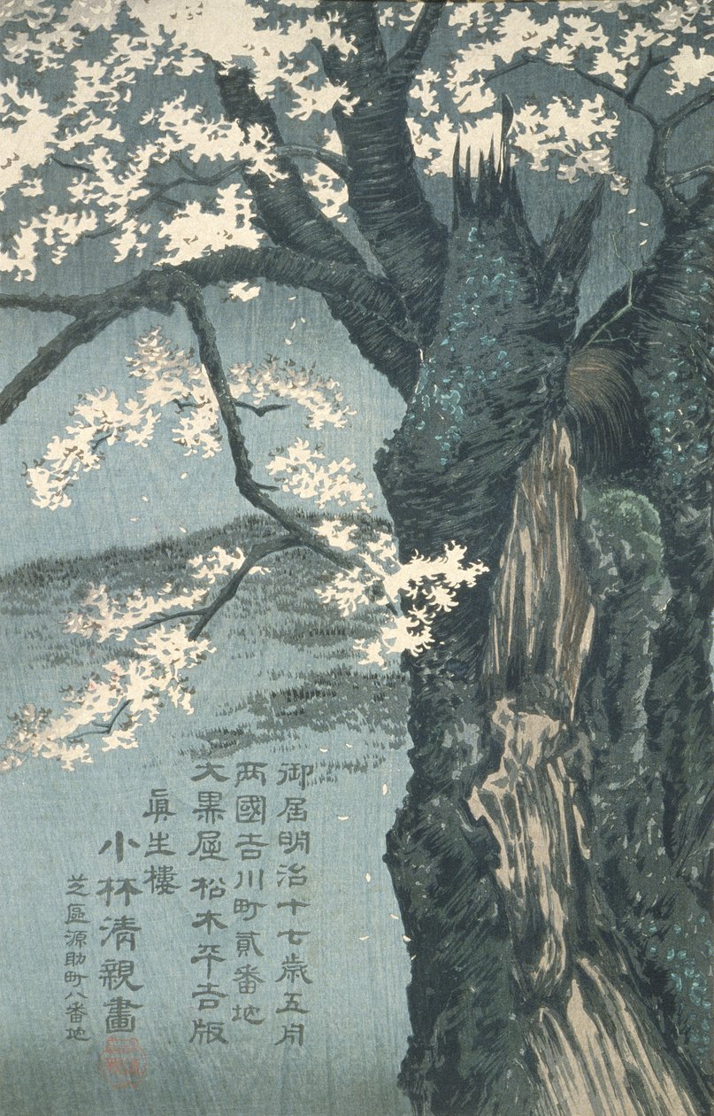 Der Krieger Taira no Tadanori, im Begriff, unter einem Kirschbaum zu schlafen von Kobayashi Kiyochika