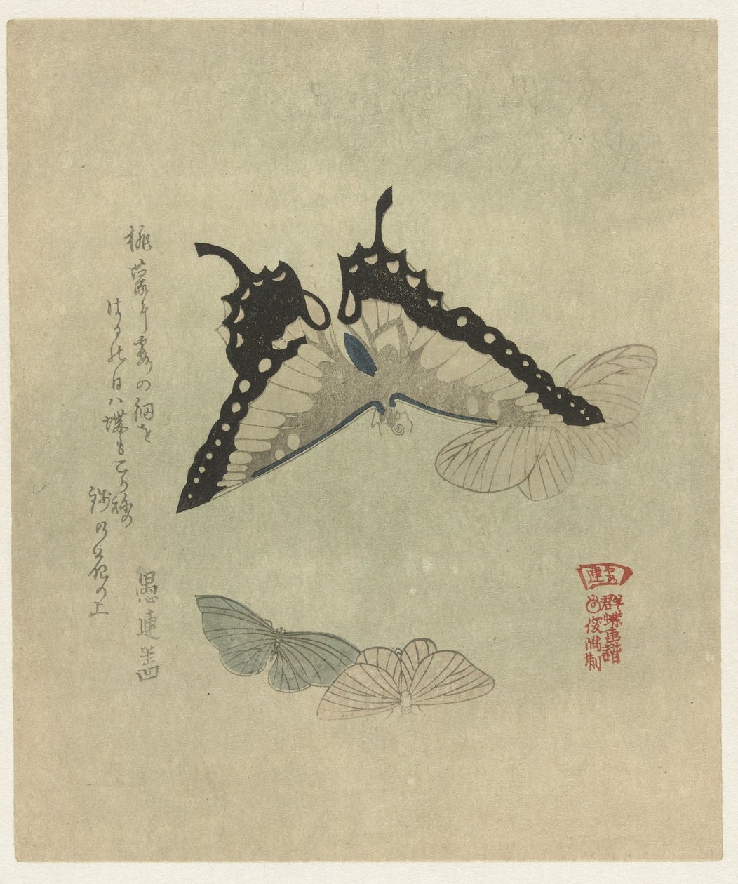 Vier Schmetterlinge (Serie) von Kubota Shunman