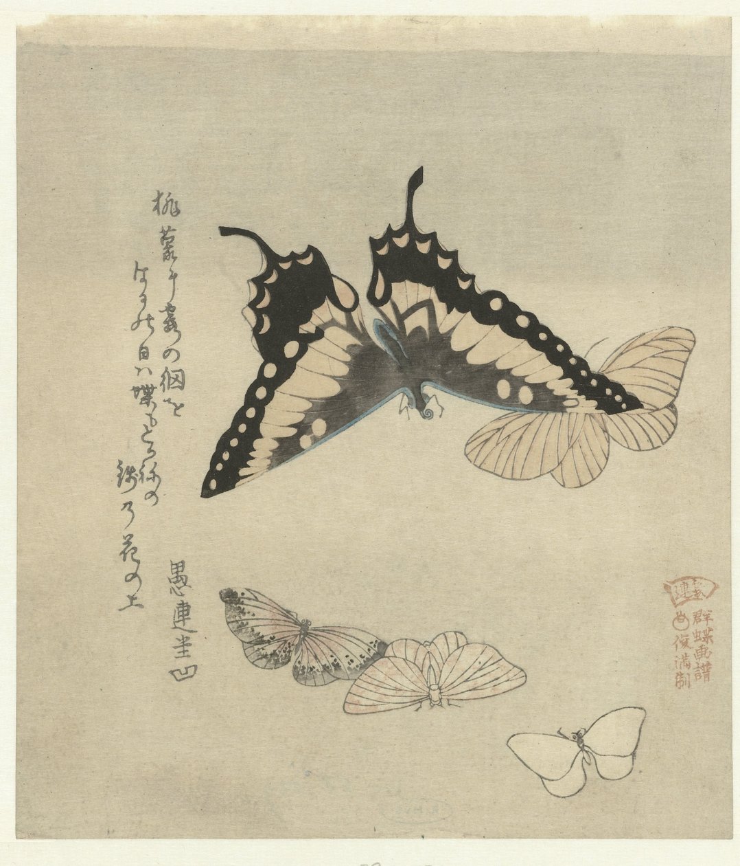 Fünf Schmetterlinge von Kubota Shunman